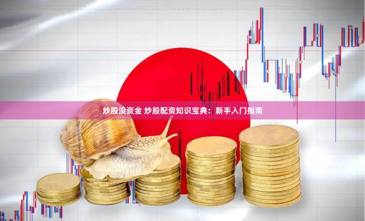 炒股没资金 炒股配资知识宝典：新手入门指南