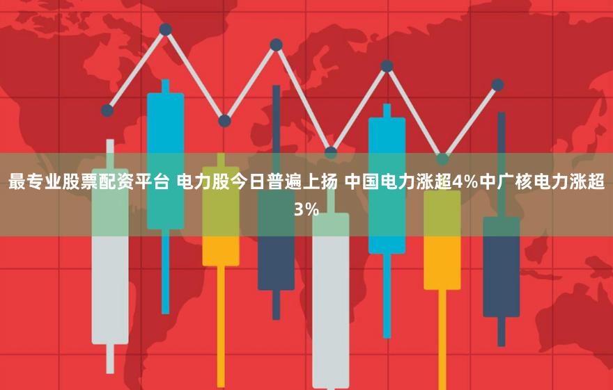 最专业股票配资平台 电力股今日普遍上扬 中国电力涨超4%中广核电力涨超3%