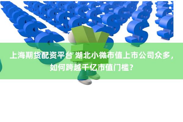 上海期货配资平台 湖北小微市值上市公司众多，如何跨越千亿市值门槛？