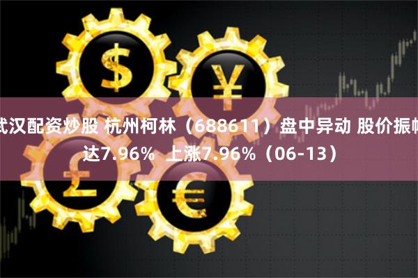 武汉配资炒股 杭州柯林（688611）盘中异动 股价振幅达7.96%  上涨7.96%（06-13）
