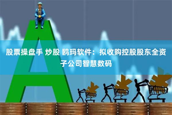 股票操盘手 炒股 鸥玛软件：拟收购控股股东全资子公司智慧数码