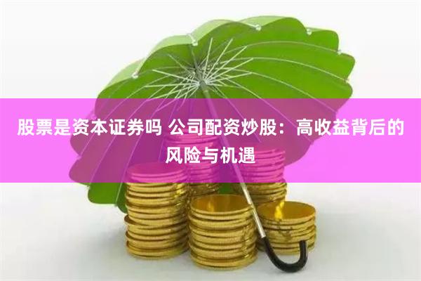 股票是资本证券吗 公司配资炒股：高收益背后的风险与机遇